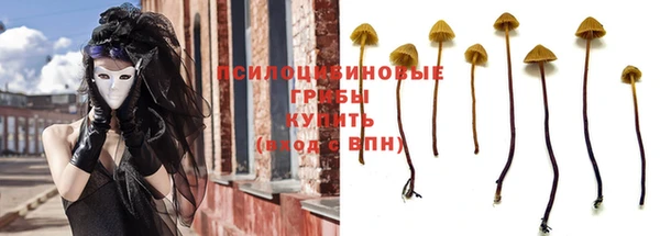 ALPHA PVP Бородино