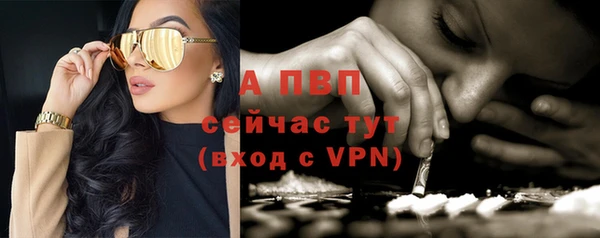 твердый Верея
