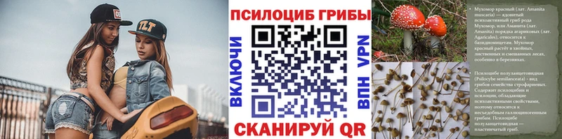 mega вход  Кисловодск  Галлюциногенные грибы Psilocybe 